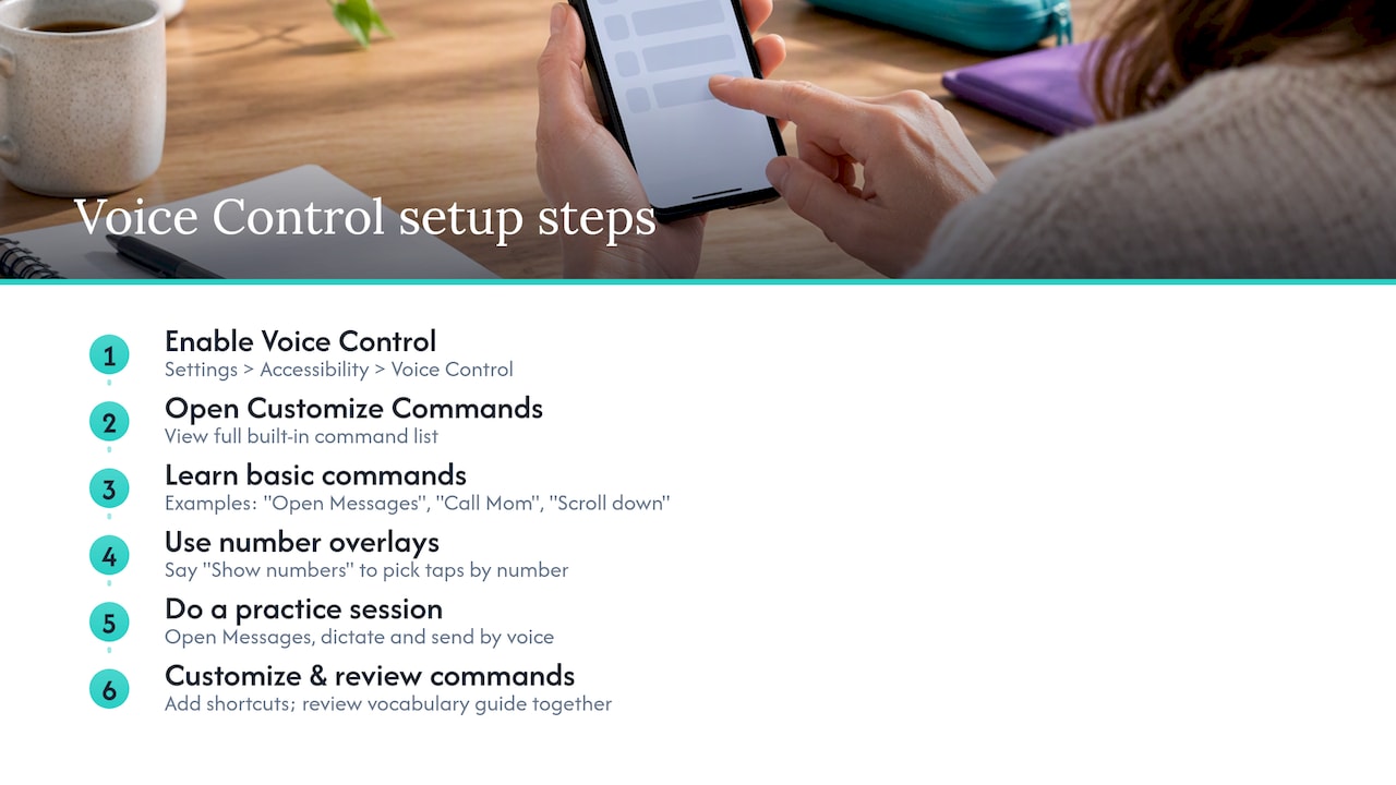 Voice Control setup for hands-free phone use — overview diagram